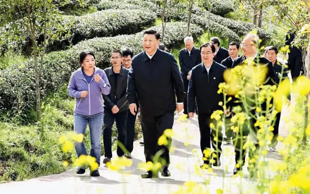 1665647954185644.jpg 1111.jpg