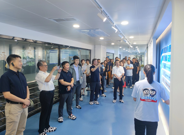 1690862060187214.png 1690861689672.jpg