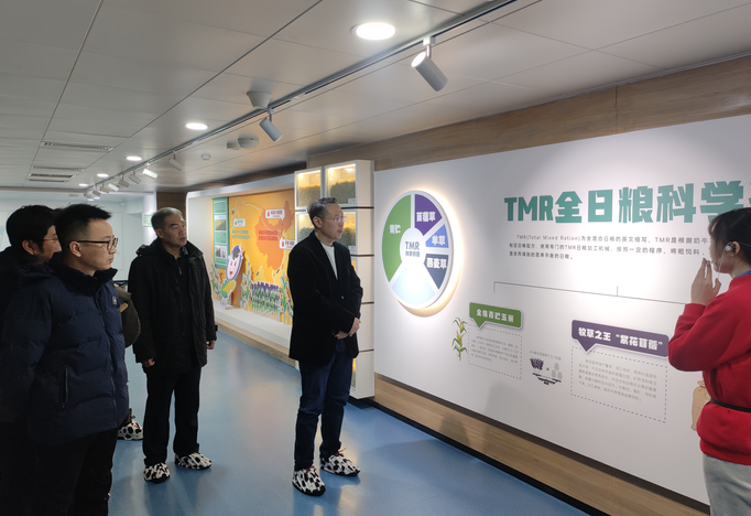 1704177015104496.png 1704176936188.jpg