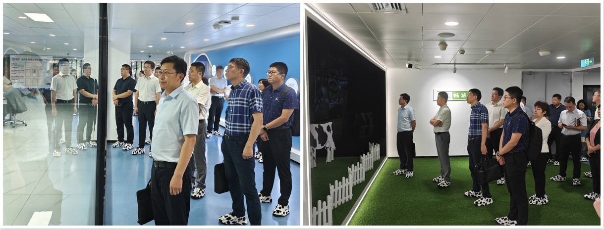 1722590578122289.png 1722590397340.jpg