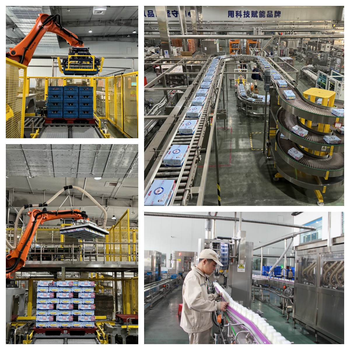 1728468339171876.jpg 1728468339171876.jpg